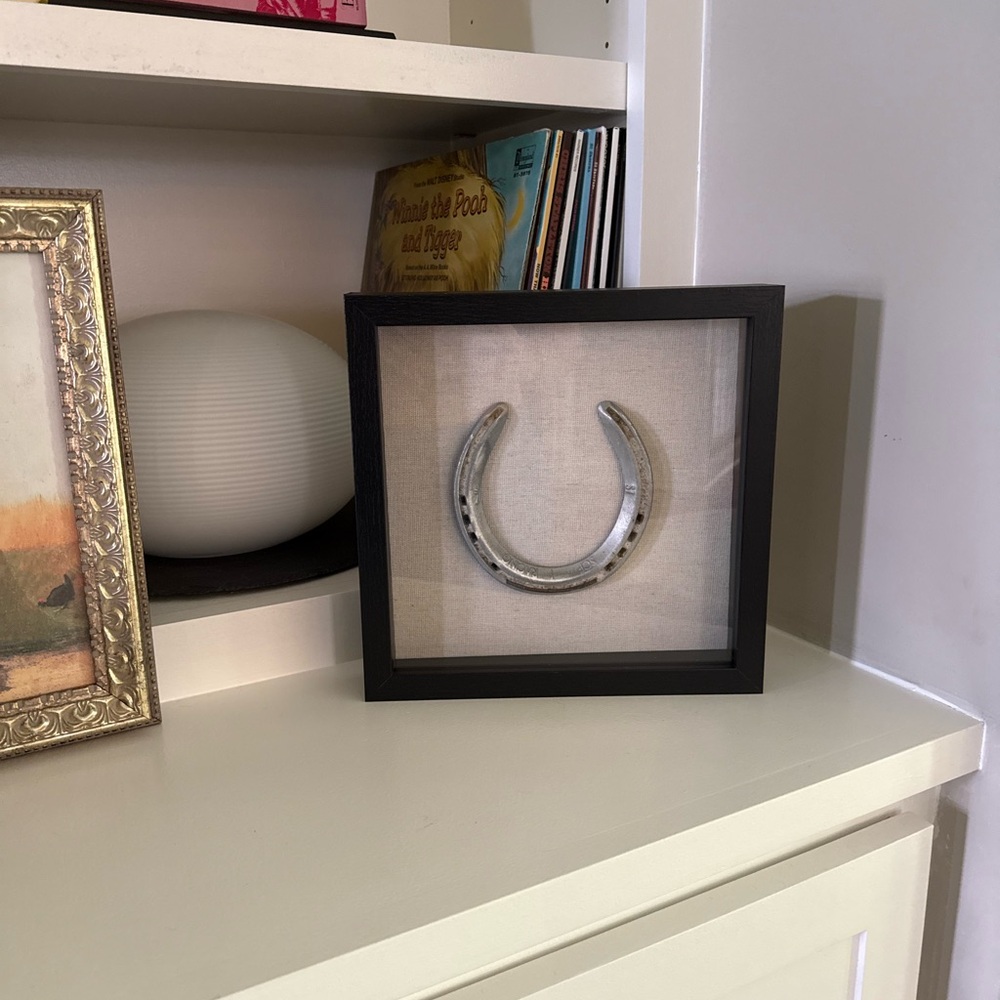 Framed Silver Horseshoe Decor